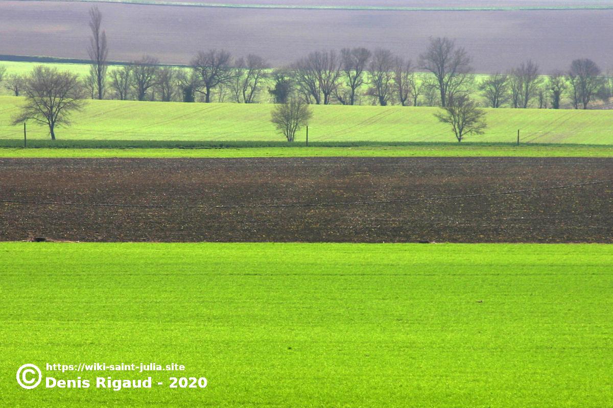 2009_printemps_img_3598cor_copie_3i.jpg