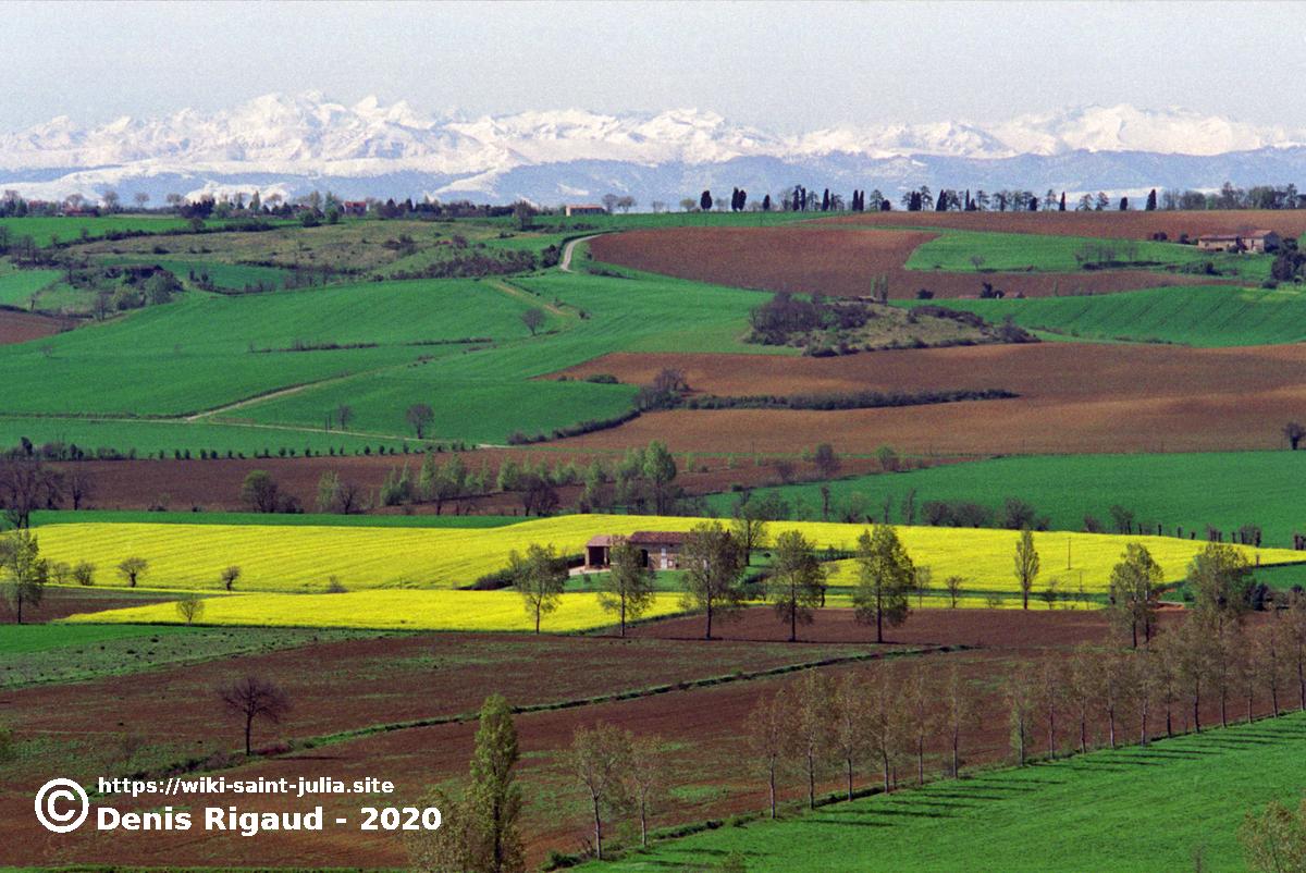 1998_le_paysage_n_2cor.jpg