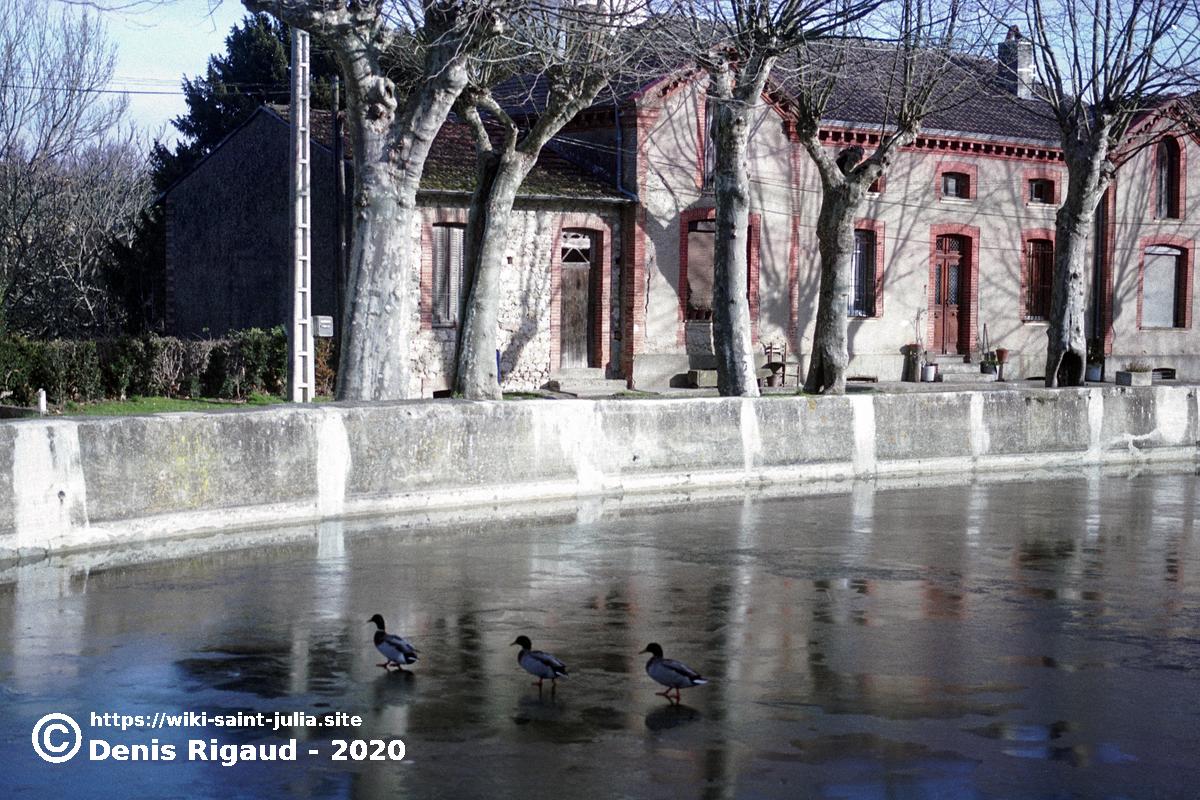 2004_mare_gelee.jpg