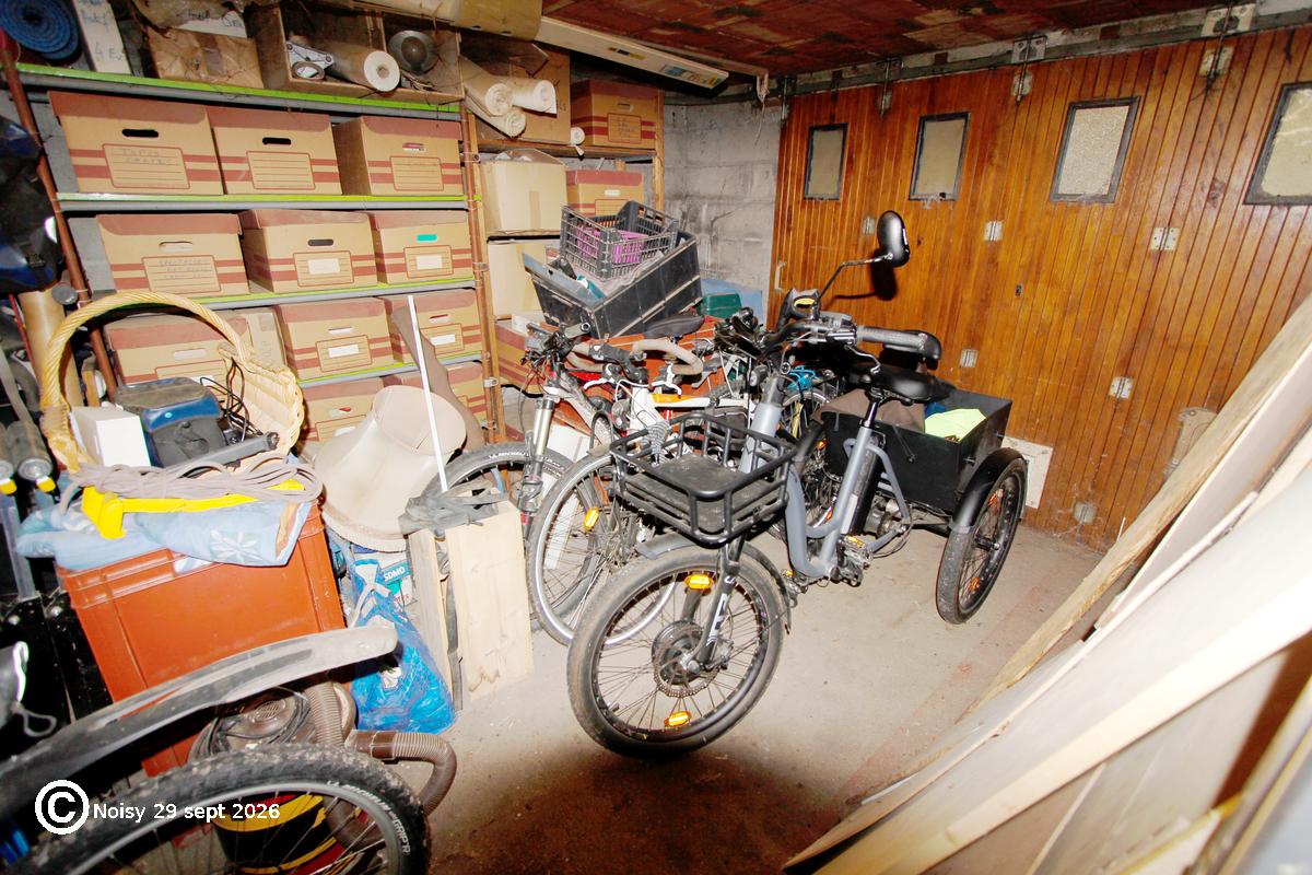 noisy_20260929_2_velo-0004.jpg