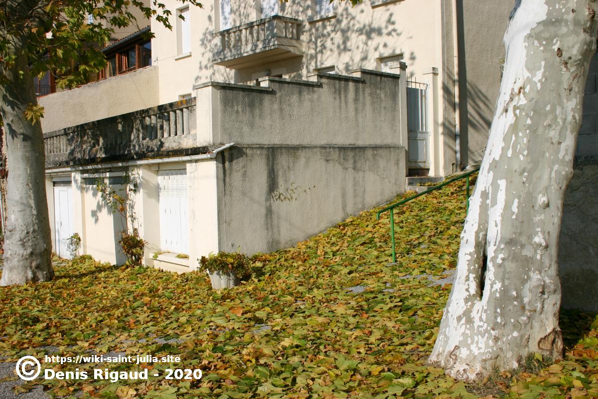 2007_nov_automne_feuilles_263_6332cor1.jpg