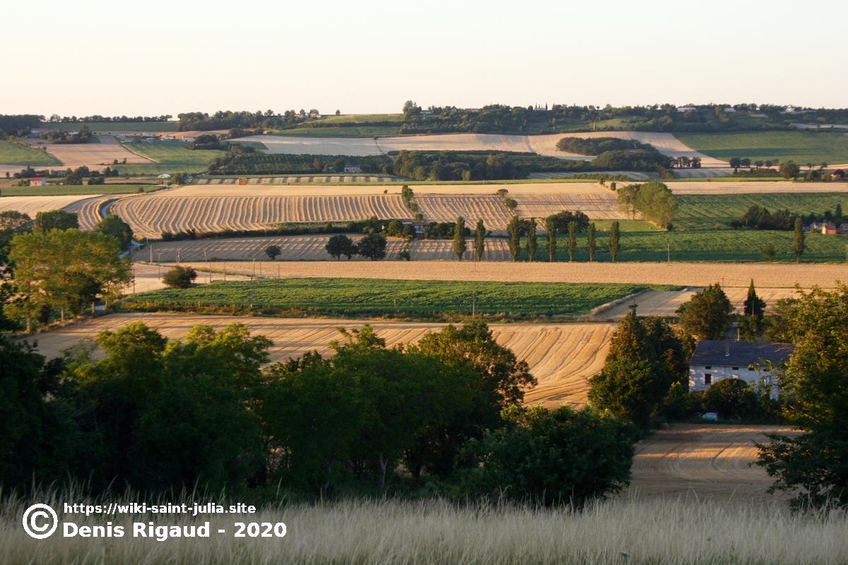 2008_juillet_soir_d_ete_img_0218cor_copie.jpg