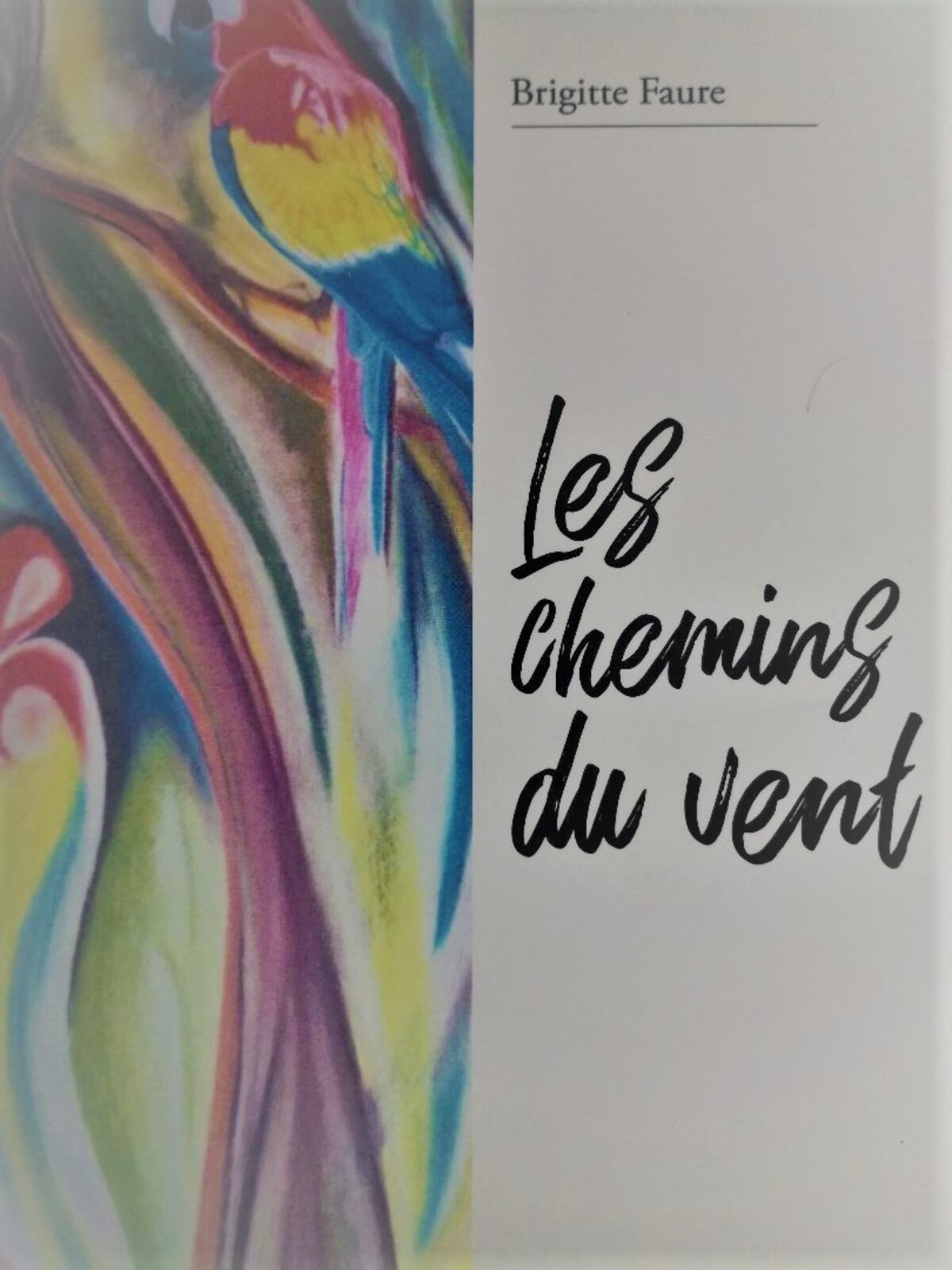 brigitte_faure_les_chemins_du_vent.jpg