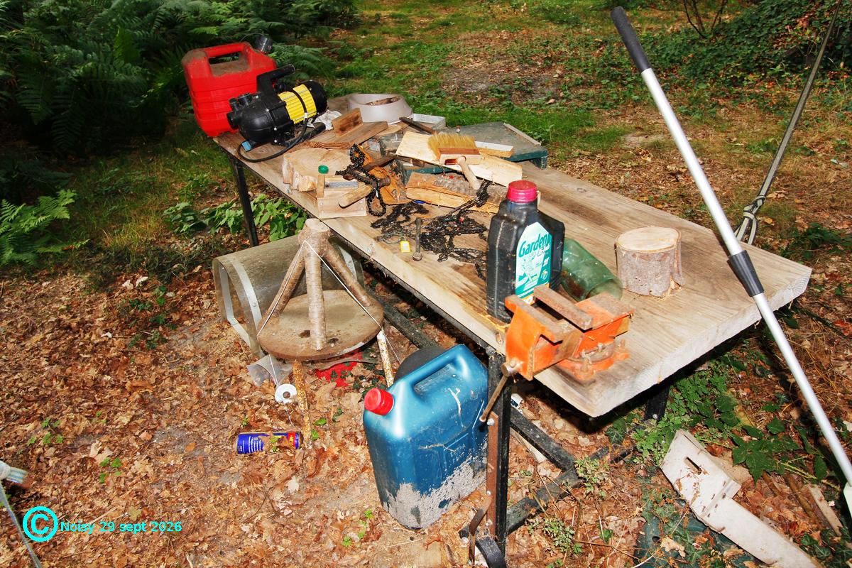 noisy_20260929_7_objets-0067.jpg