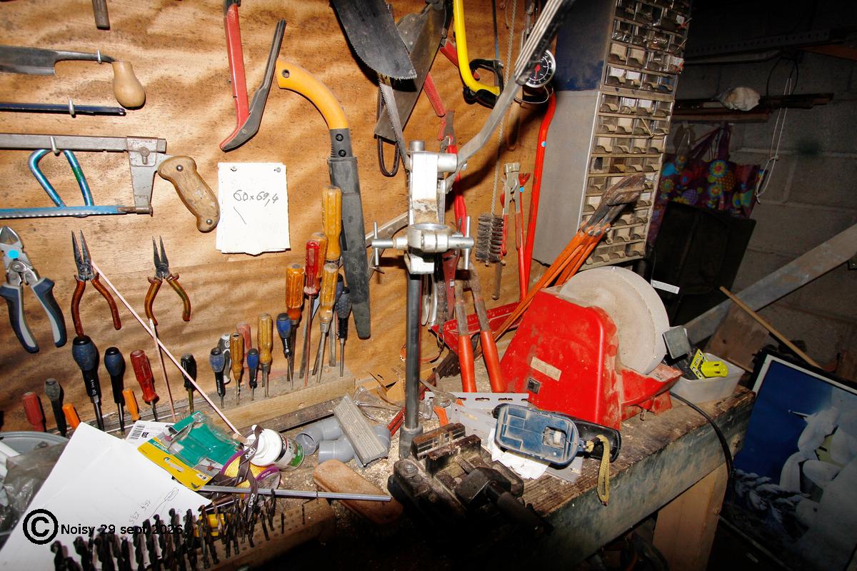noisy_20260929_7_objets-0045.jpg
