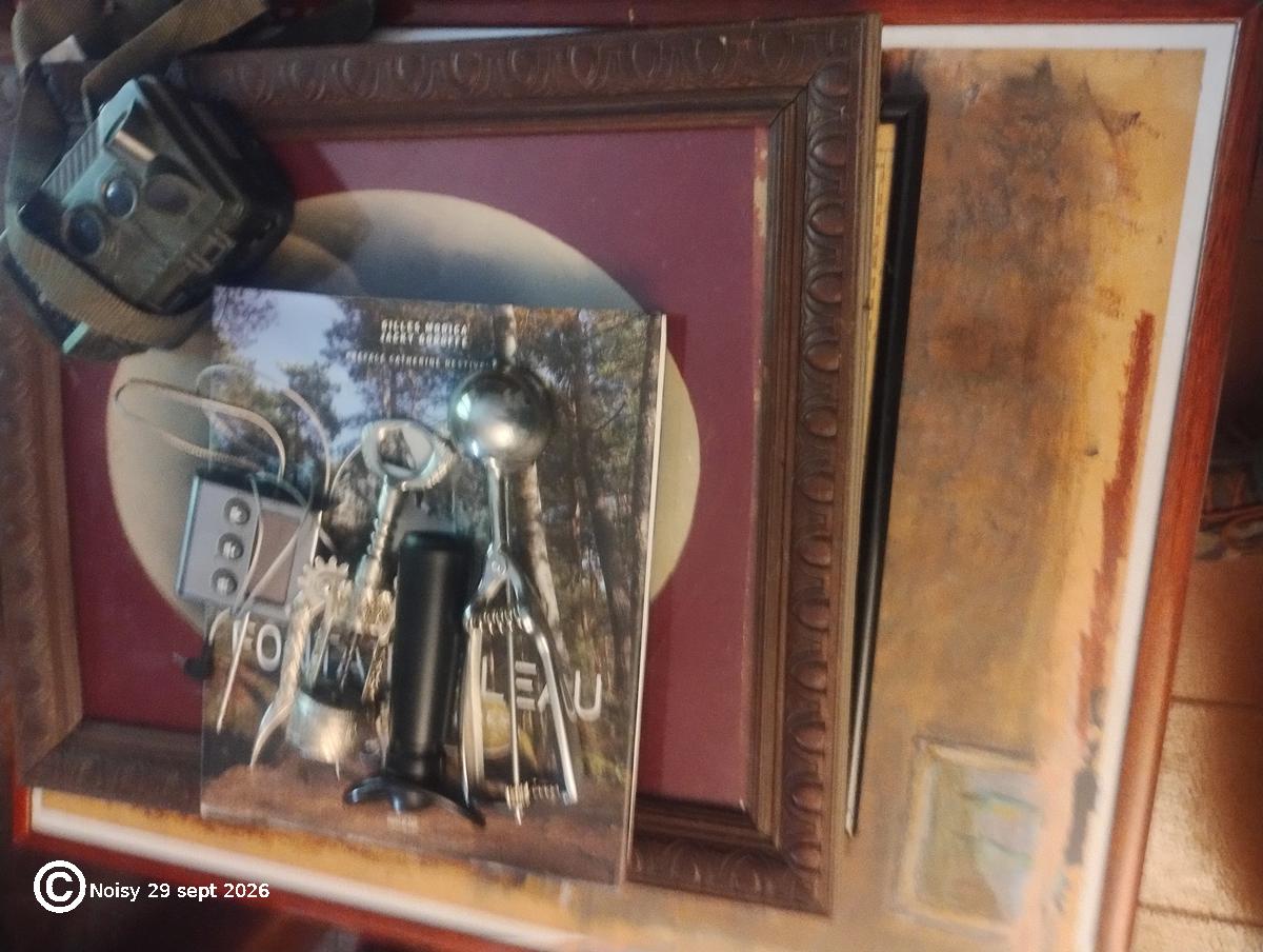 noisy_20260929_7_objets-0115.jpg