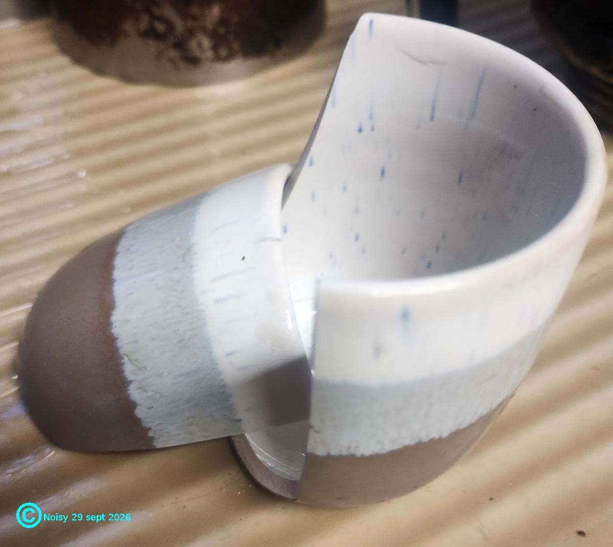 img_20261013_tasse_cassee.jpg