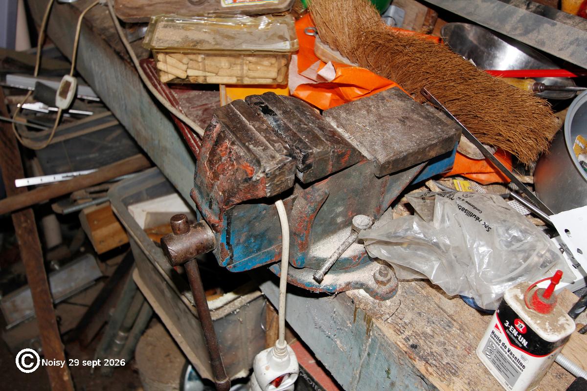 noisy_20260929_7_objets-0044.jpg