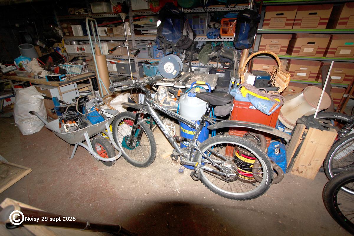 noisy_20260929_2_velo-0003.jpg