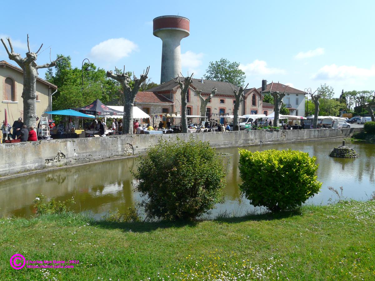 stjulia_20220508_sjet_charles_03.jpg