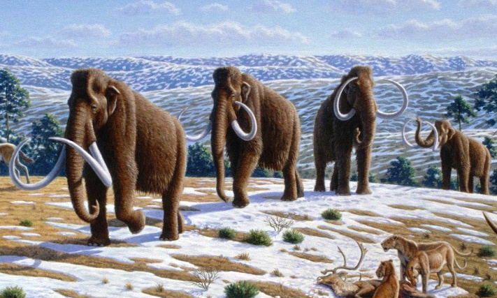 mongey_20230830_mammouths.jpg