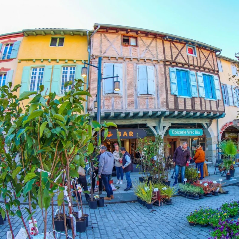 revel_20251111_marche_o_arbres.webp