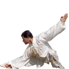 hacene_100.png
