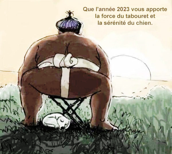 stjulia_20220127_ventplume_voeux_incorrects_2023.jpg