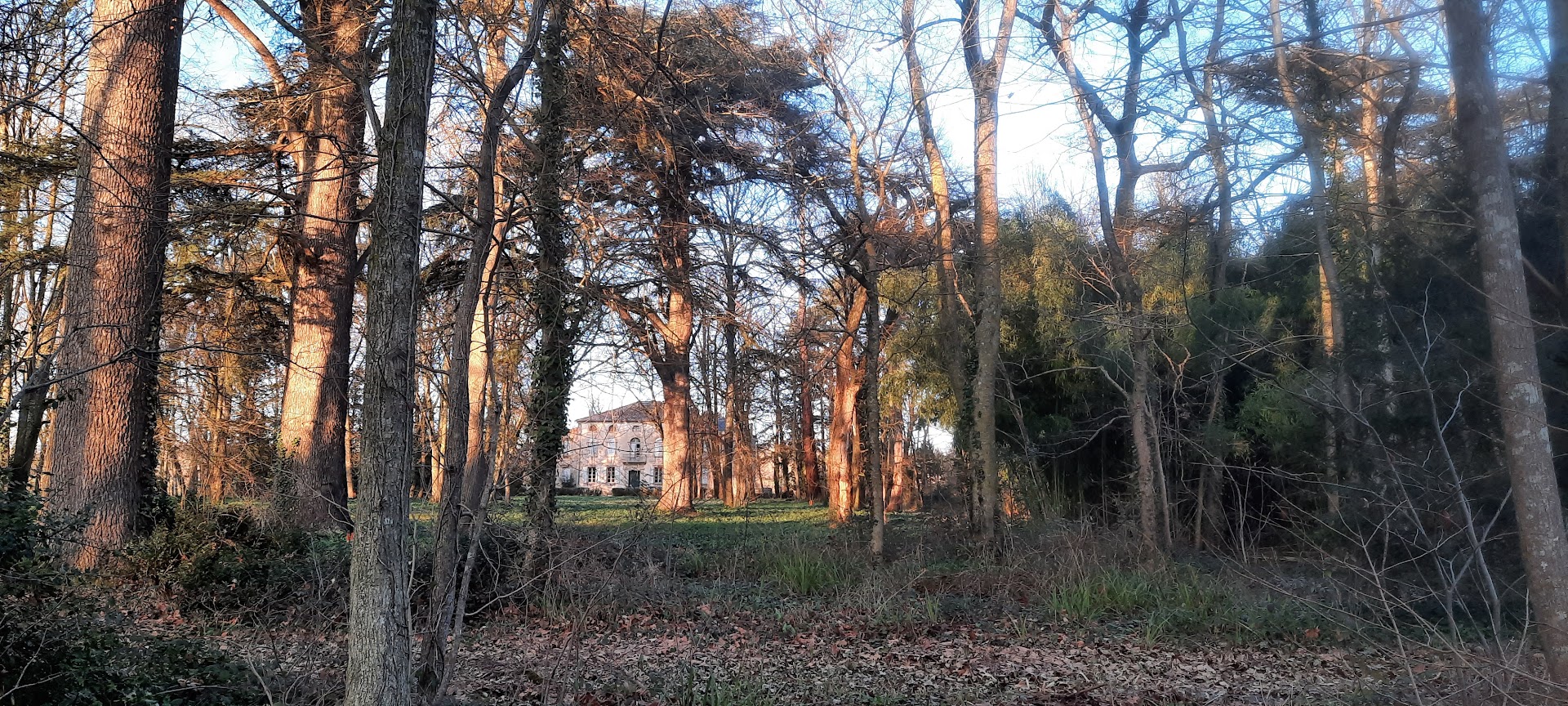 stjulia_20220111_en_varennes.jpg