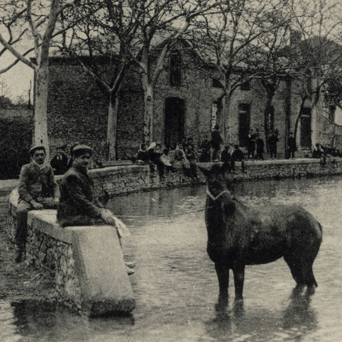 photoanciennes_car.jpg
