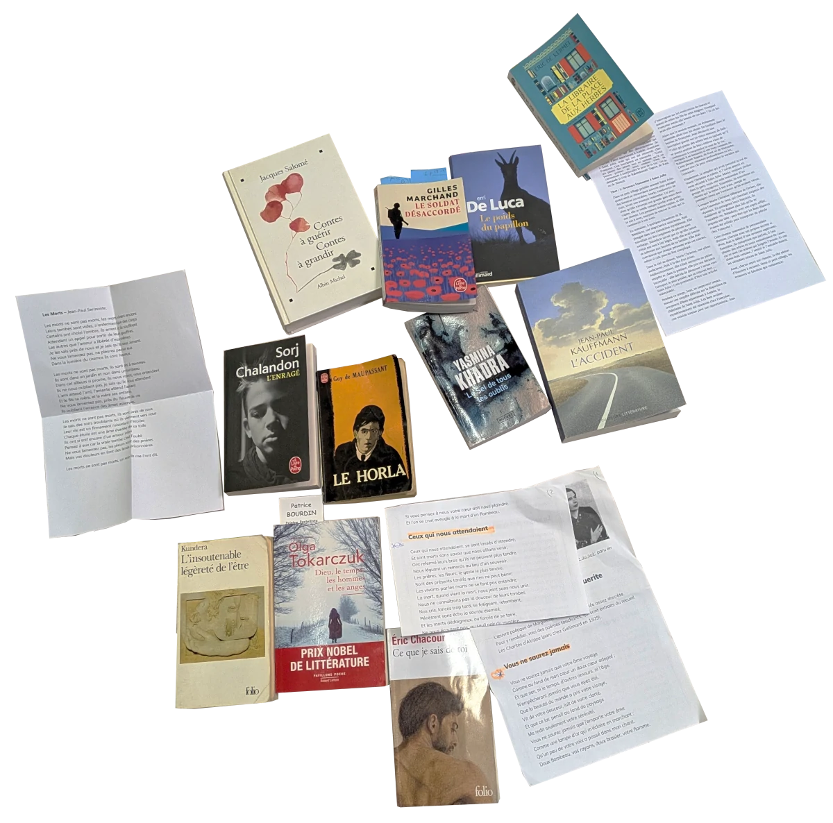stjulia_20250328_vent_plume_livres.webp