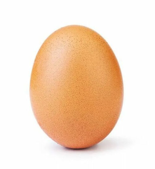 oeuf.png