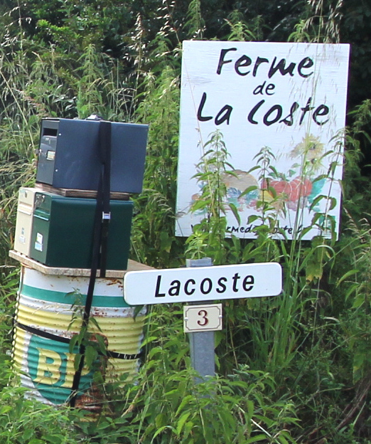 montegu_lacoste_r.jpg