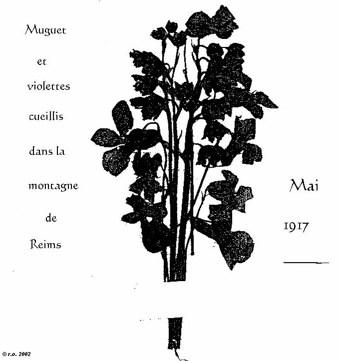 p004.jpg