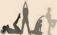 posgym_ombres_chinoises.png