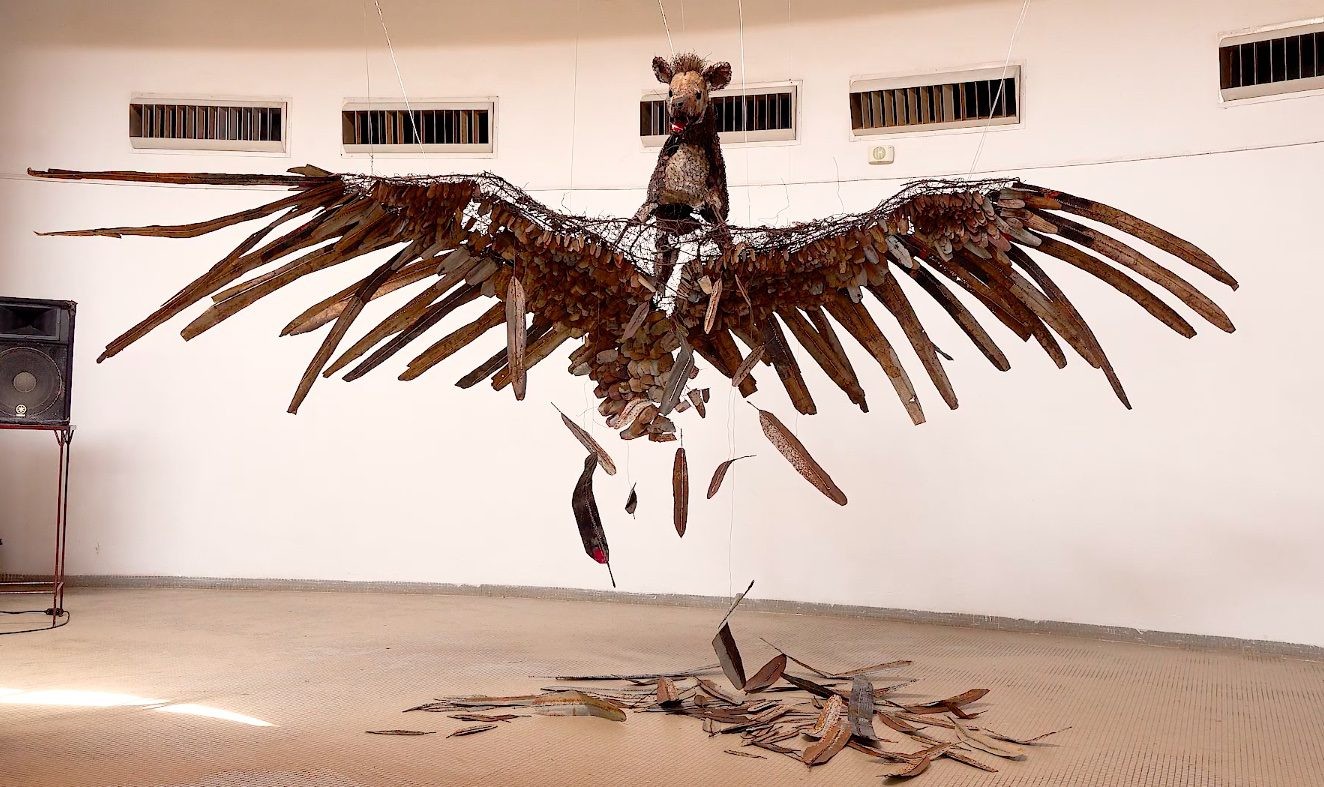 revel_20250914_zallucine_coq.jpg