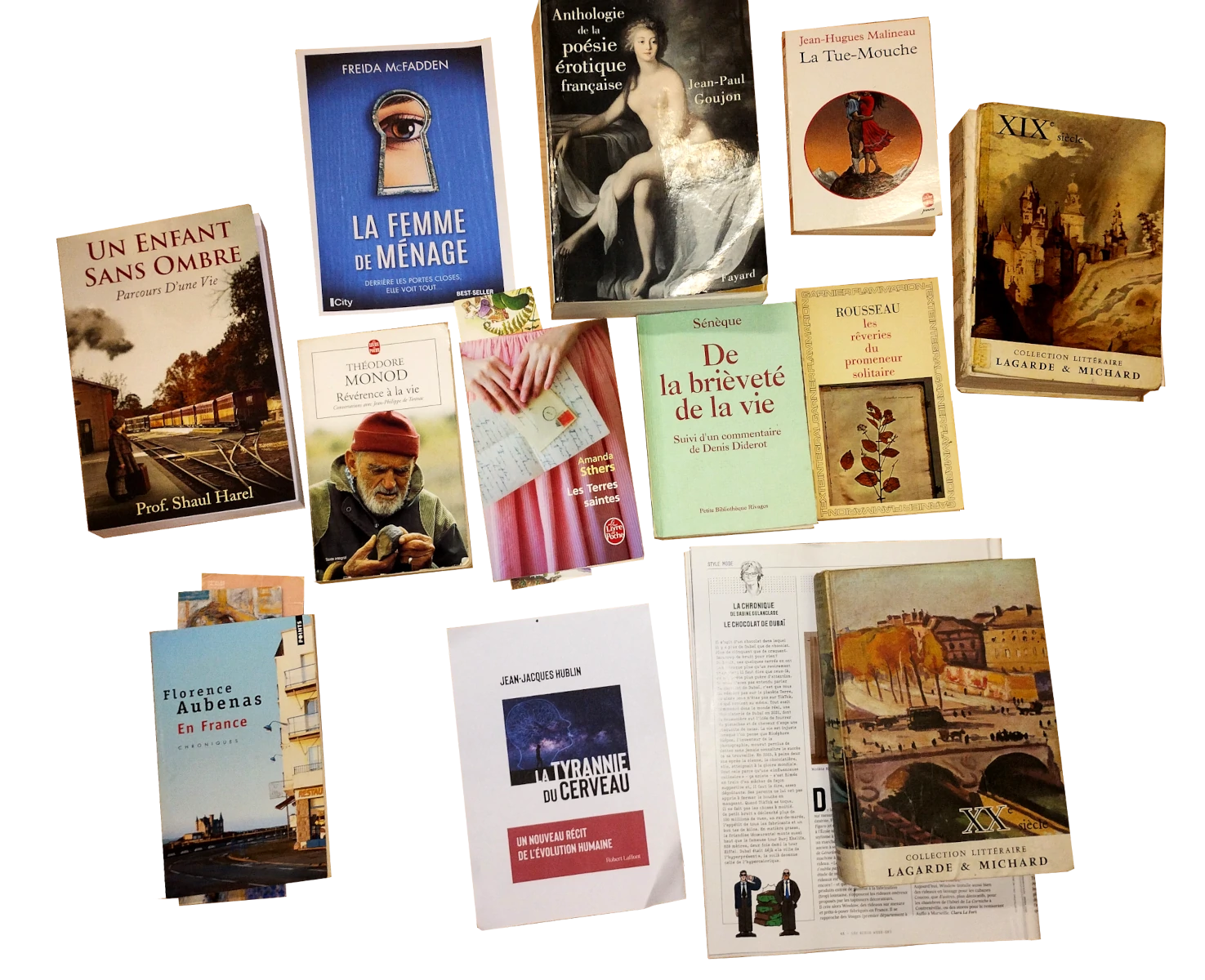 stjulia_20250425_vent_plume_livres.webp