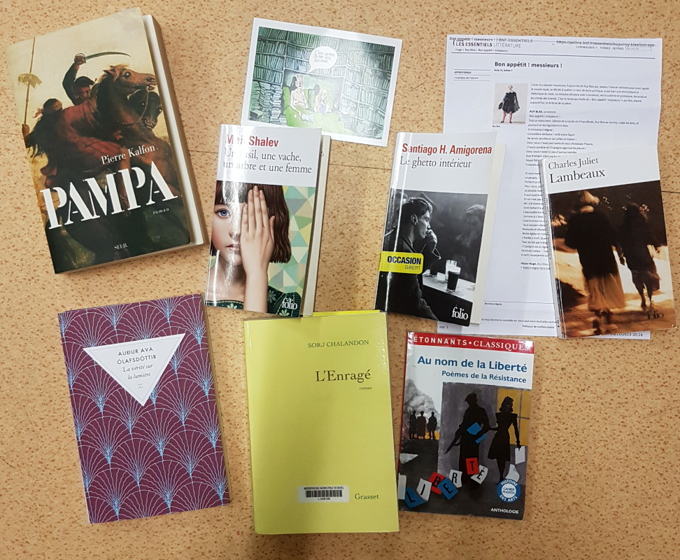 stjulia_20240126_vent_plume_19_livres.jpg