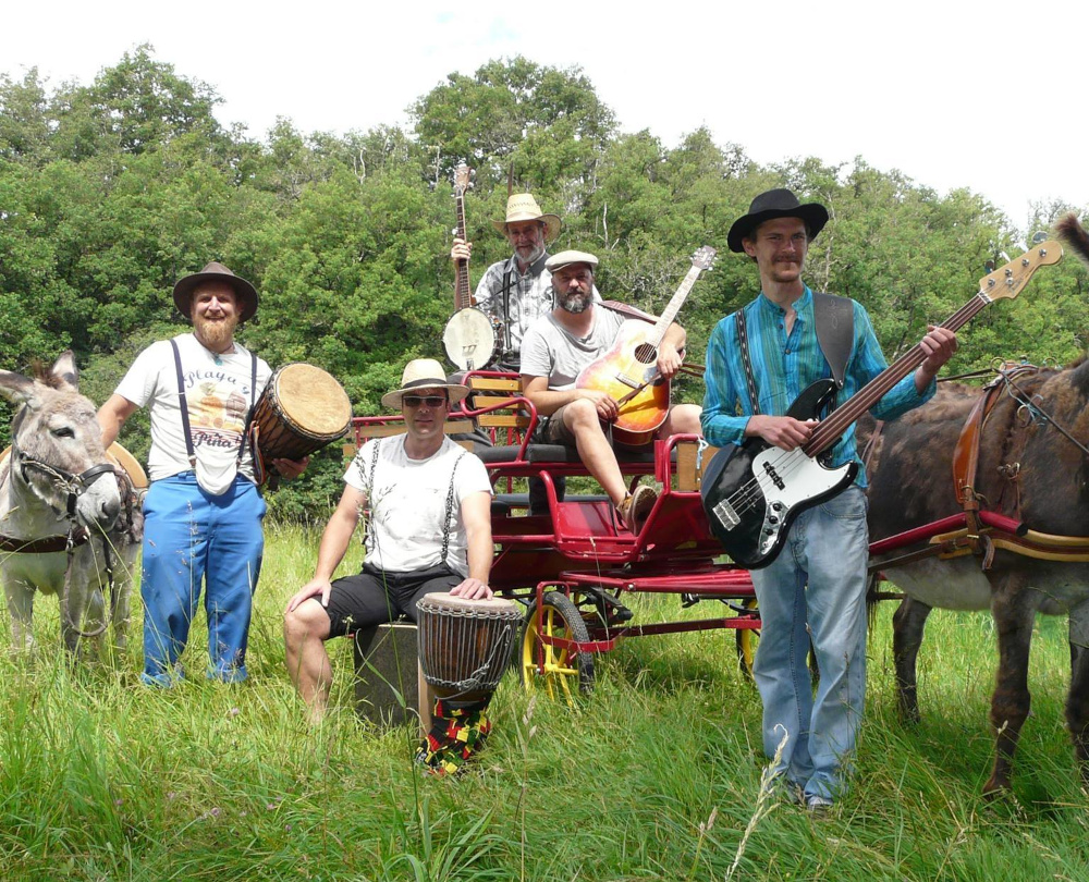 cambiac_20230615_svs_band.jpg