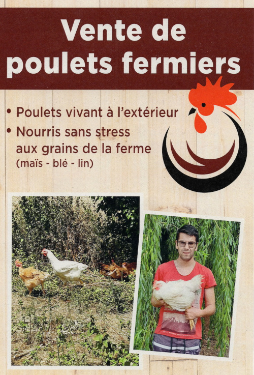 stjulia_20221122_peyssou_activite.jpg