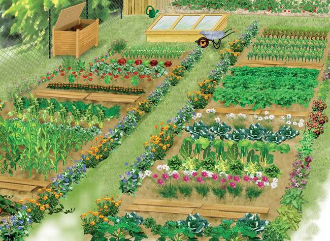 jardin_m_loppe_rustica.jpg